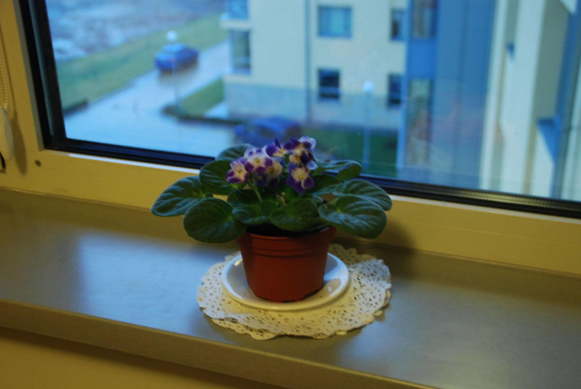 Ucu Inn - Кімнати Для Гостей リヴィウ エクステリア 写真